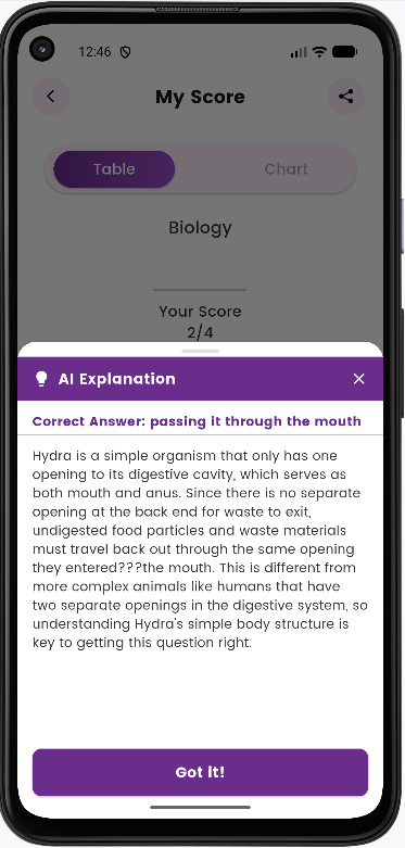 AI Explanation